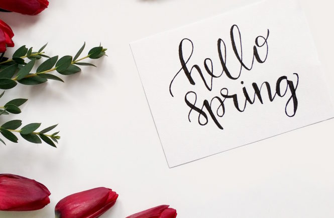 MYFAVORITEHELLO.COM || Transition to Spring Outfits