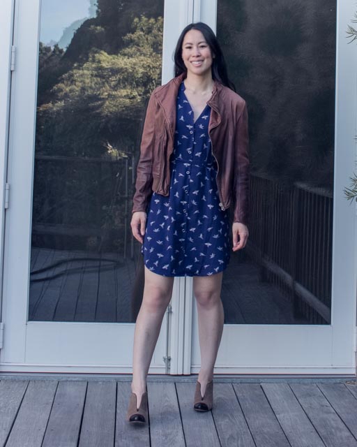 Stitch Fix Dresses