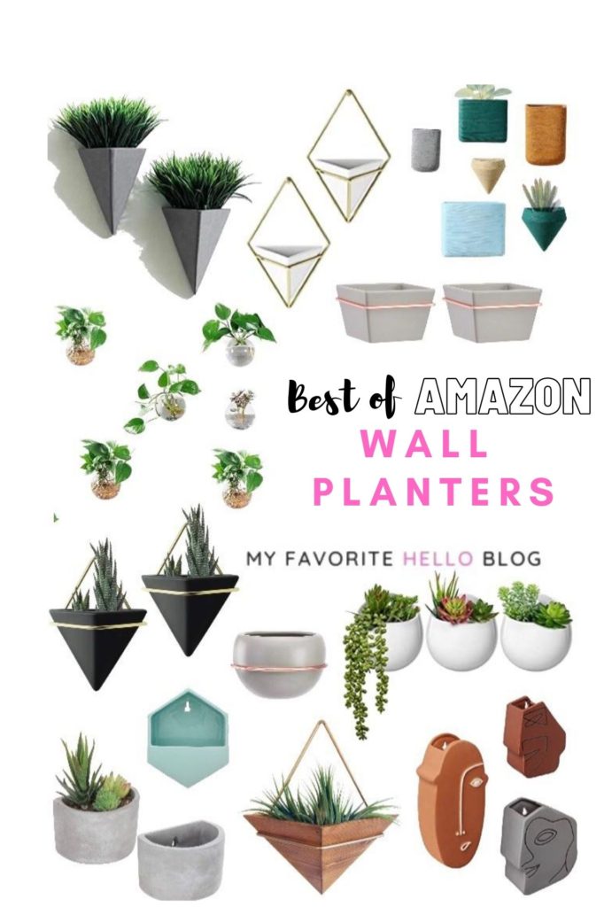 Amazon wall planters